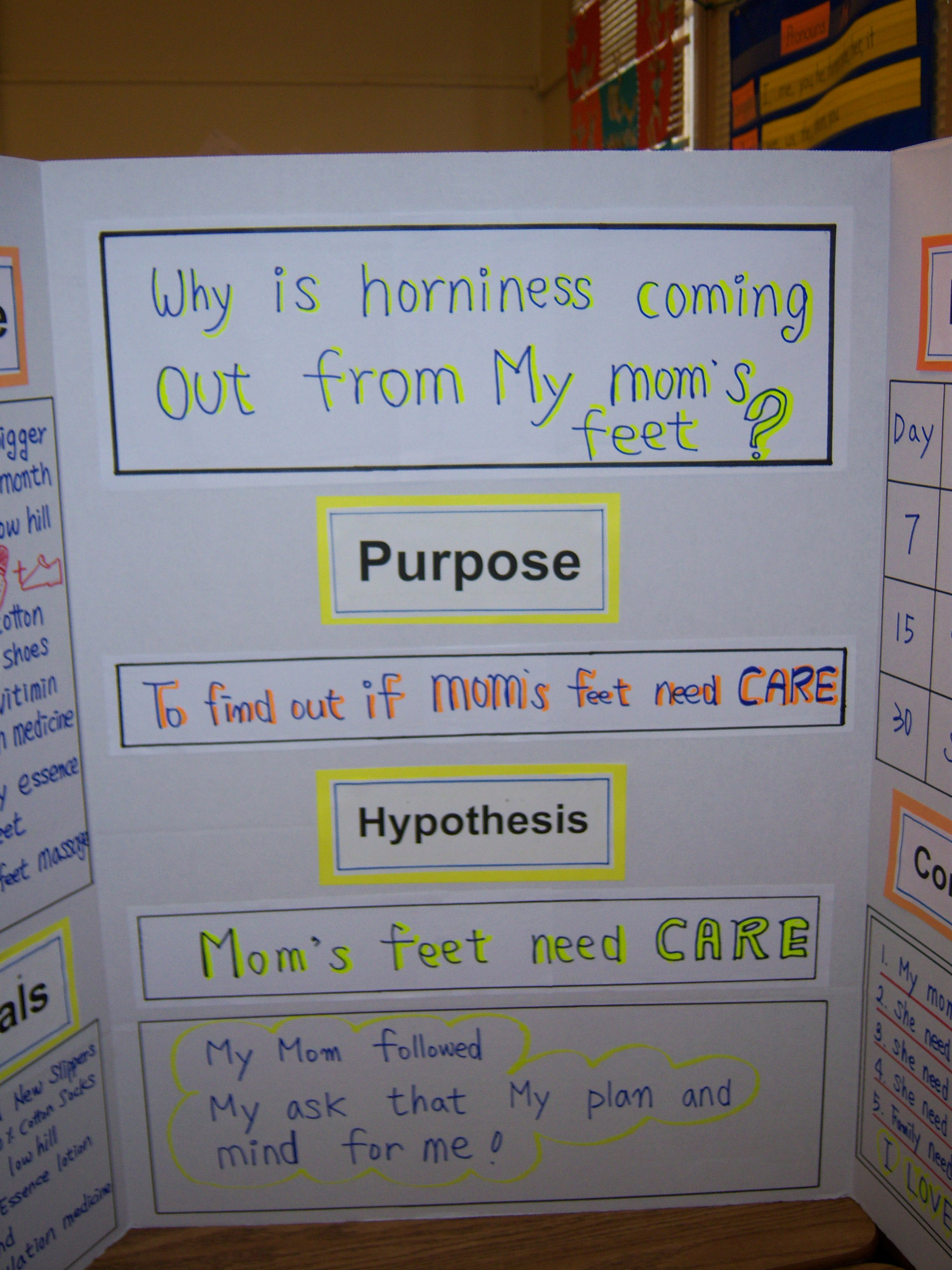 5th Grade Science Fair Projects